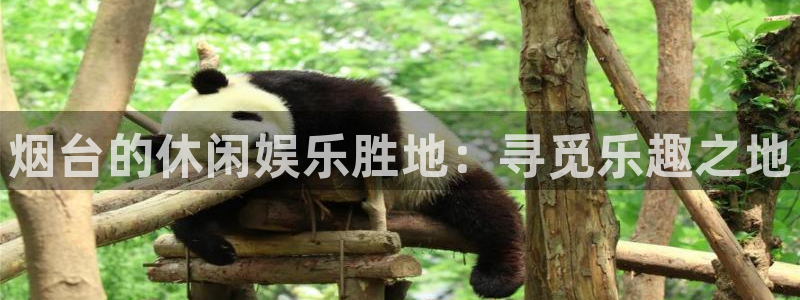 赢咖登录：烟台的休闲娱乐胜地：寻觅乐趣之地